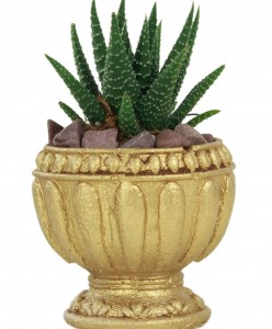 Mini Çiçek Saksı Küçük Sukulent Altın Kaktüs Saksısı Antika Vazo Model